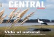 Vida al natural - revistacentral.com.ar