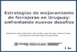Estrategias de mejoramiento de forrajeras en Uruguay 