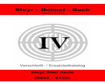 Steyr-Deimel-Buch - Dämpfer Tür RS2
